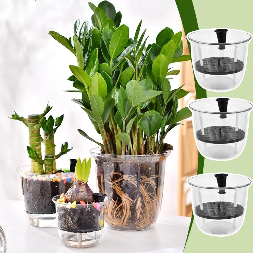 Maceta con autorriego, macetas - Aloe Vera Pot reseña y precio