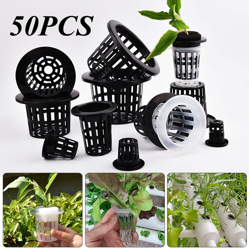 50 Uds. Maceta de cultivo de p - Aloe Vera Pot reseña y precio